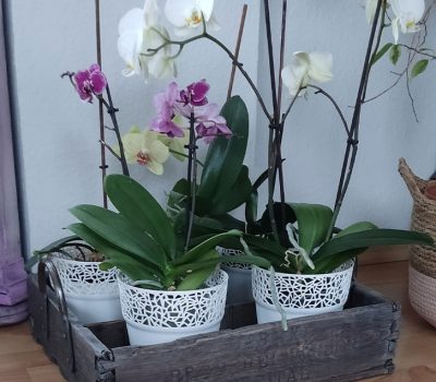 flower-stand5
